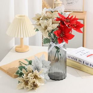 �羳���N�����}�Q��һƷ�t�� ���~һƷ�t�}�Q���b�Ʒ���滨���l