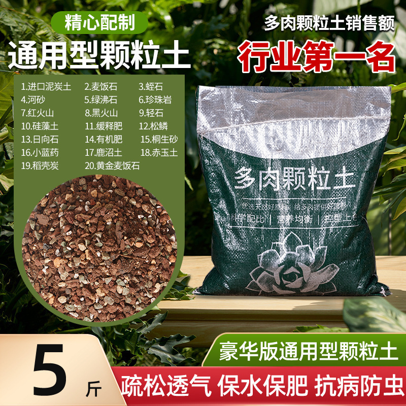 多肉植物粒土、特殊栄養土、医療石、一般花植物多肉植物土、カラフルな小石舗装|undefined