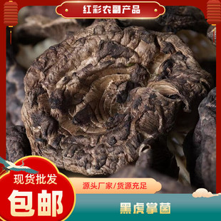 �ڻ��ƾ���؛���l����خa�ڻ��Ʈa�����lʳ�úڻ��ƾ�