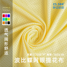 �\�]ᘿ��R��͸�Ⲩ�ȗl�Ứ�����W�۲����������ˬ�\�ӱ�������