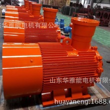 YE5EJ-160M1-8-4늙C�����ȼ�Y2EJ늙Cʹ��M20*1.5��|�i�o�^���o