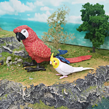 跨境儿童仿真野生飞禽鸟类动物模型金刚鹦鹉玄凤鹦鹉装饰摆件玩具