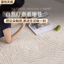 轻奢风土耳其进口高端无胶地毯家用卧室加厚机织地毯大面积满铺