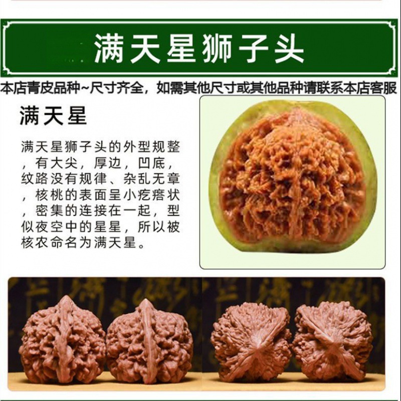 Gypsophila lion head