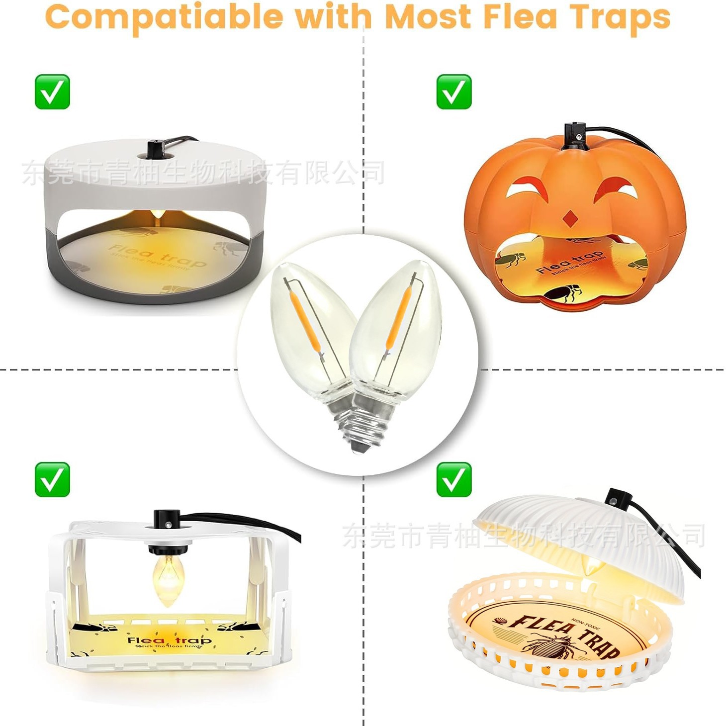 2025-10-31 09:28:41.jpg