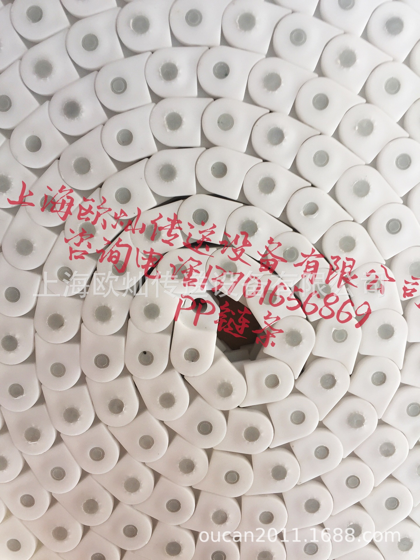 PP���� �͸�ʴ���� ��������� 60P���� ȫ�������� OUSION����