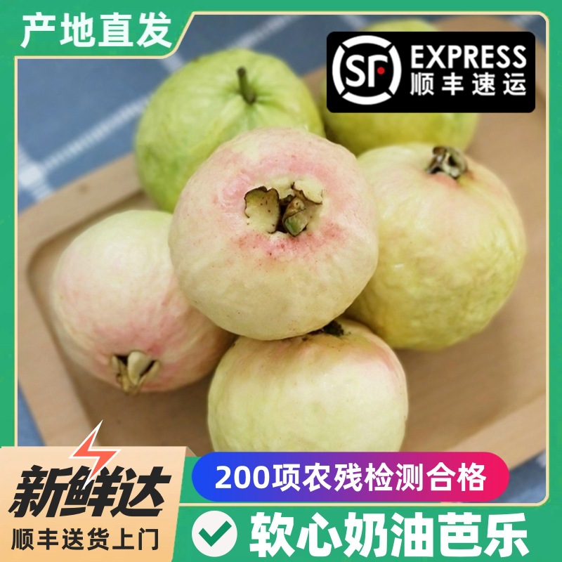 顺丰 广东奶油芭乐软糯 新鲜现摘 白心番石榴软心鸡屎果 巴乐水果