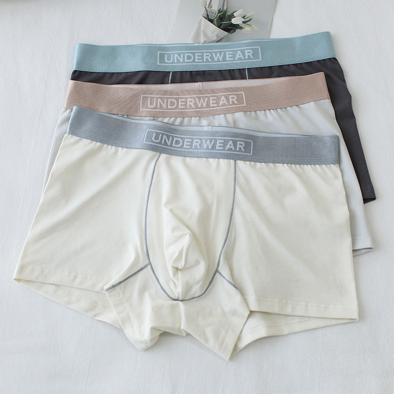 [2202 Youthful and Good Quality Letters Soft, Delicate and Lightweight Men's Boxer Briefs Boxer Briefs Cotton Underwear Shorts