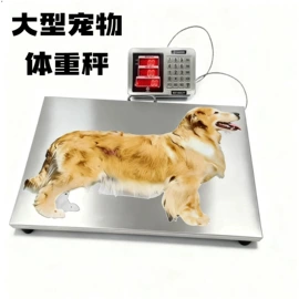 电子秤;计价秤;厨房秤