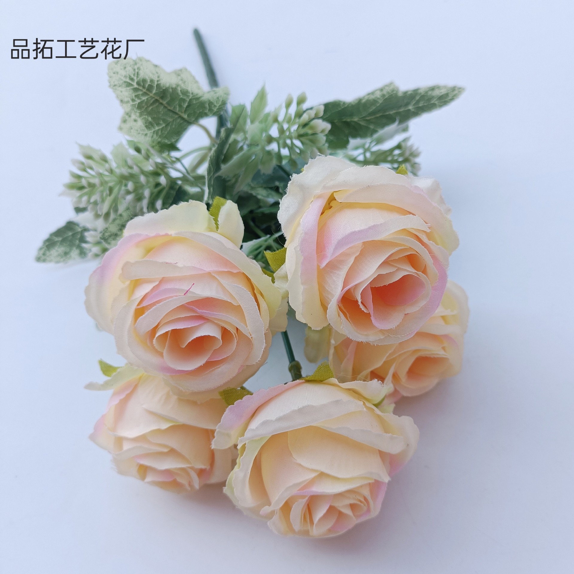 샴페인