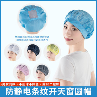 Blue Anti-Static Dome Skylight Open Mesh Round Cap Dust-Free Workshop Clean Factory Food Factory Dust-Proof Breathable Anti-Hair Loss