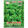 Jiefeng 25 grams of Italian lettuce seeds resistance to moss and lettuce bean seeds sowing balcony potted farm vegetables in the four seasons