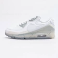 Air Max 90 Terrascape White Grey