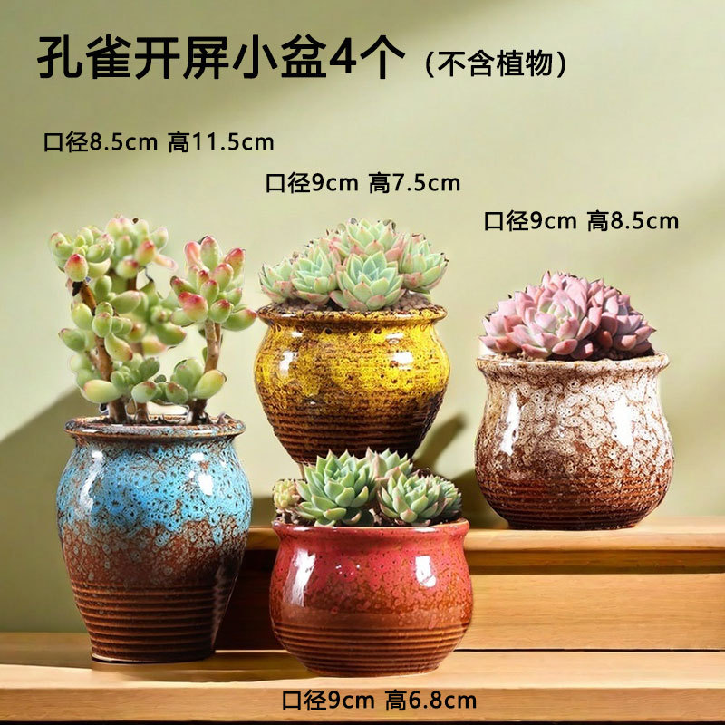 Pavo real pantalla abierta suculentas ollas de cerámica especiales grandes y pequeñas carnosas ollas de arcilla suculentas para el hogar ventas directas de fábrica al por mayor