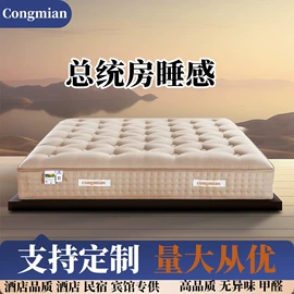 棕榈弹簧床垫;床垫、席梦思;乳胶弹簧床垫