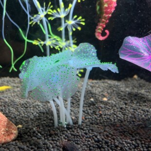 Fish Tank Landscaping Luminous Silicone Simulated Coral Aquarium Special Accessories Underwater World Scenery Factory Direct Sales