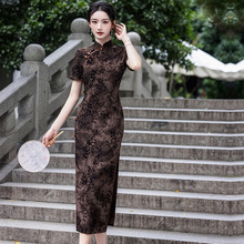 2025�¿�ֲ�q����ɫ���۸����L�������ճ���ϯ���|���������@��