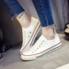 VS-A01 white red