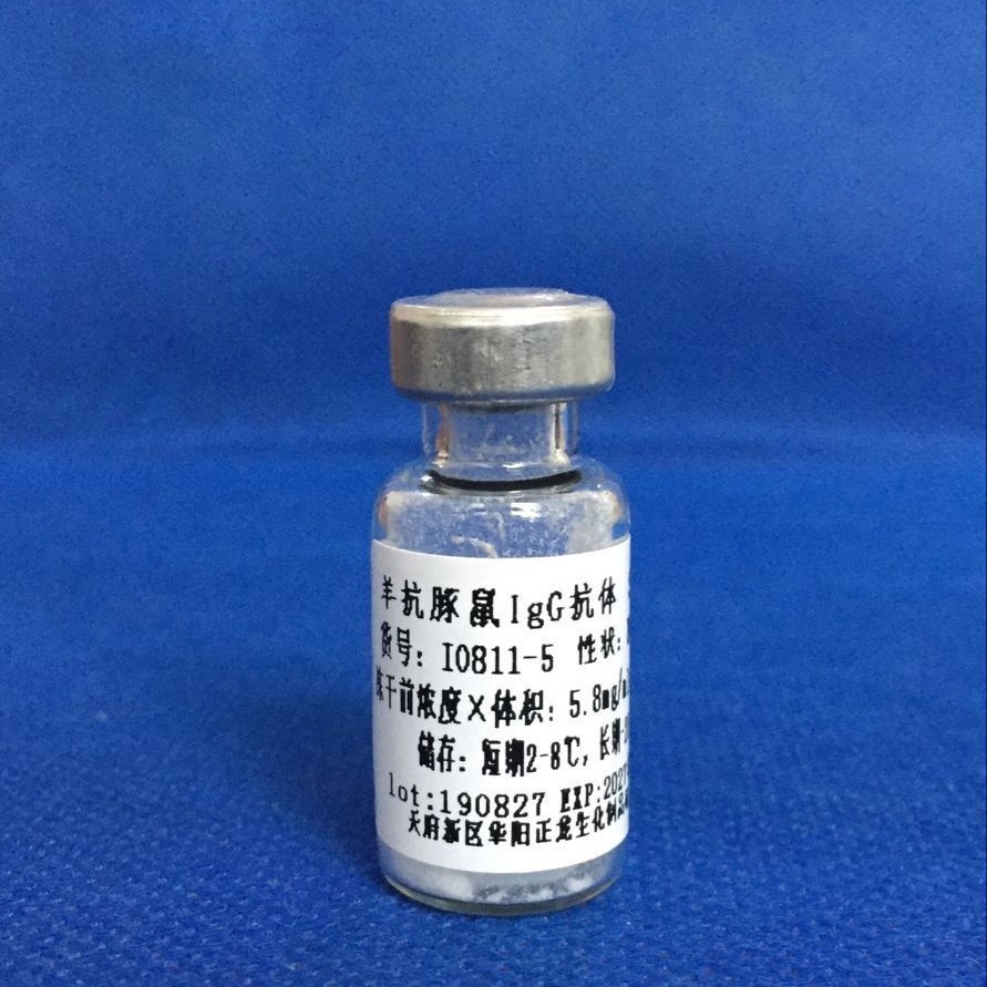 羊抗豚鼠IgG抗体-1.0MG