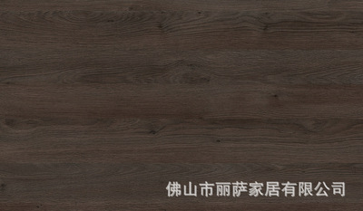 愛格H3342 ST28 塞皮亞格拉德斯通橡樹 護牆板/壹門到頂衣櫃