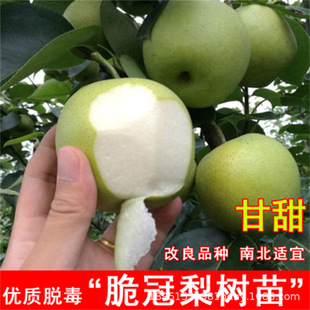 �޽ӾG��ʯ�������������һ̖������������Ա��Ϸ�ͥԺ�Nֲ�ͺ�