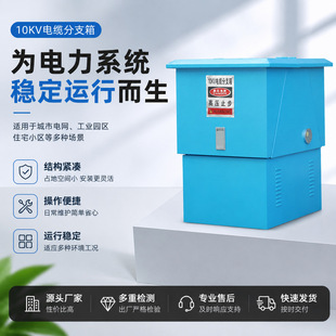 10KV��|��֧��߉���|��֧��DFW���ⲻ�P䓚Wʽһ�M������