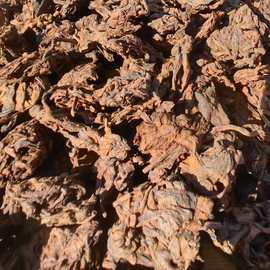 金芽老茶头 云南勐海布朗山普洱茶熟茶紧压茶 陈年普洱茶 500克