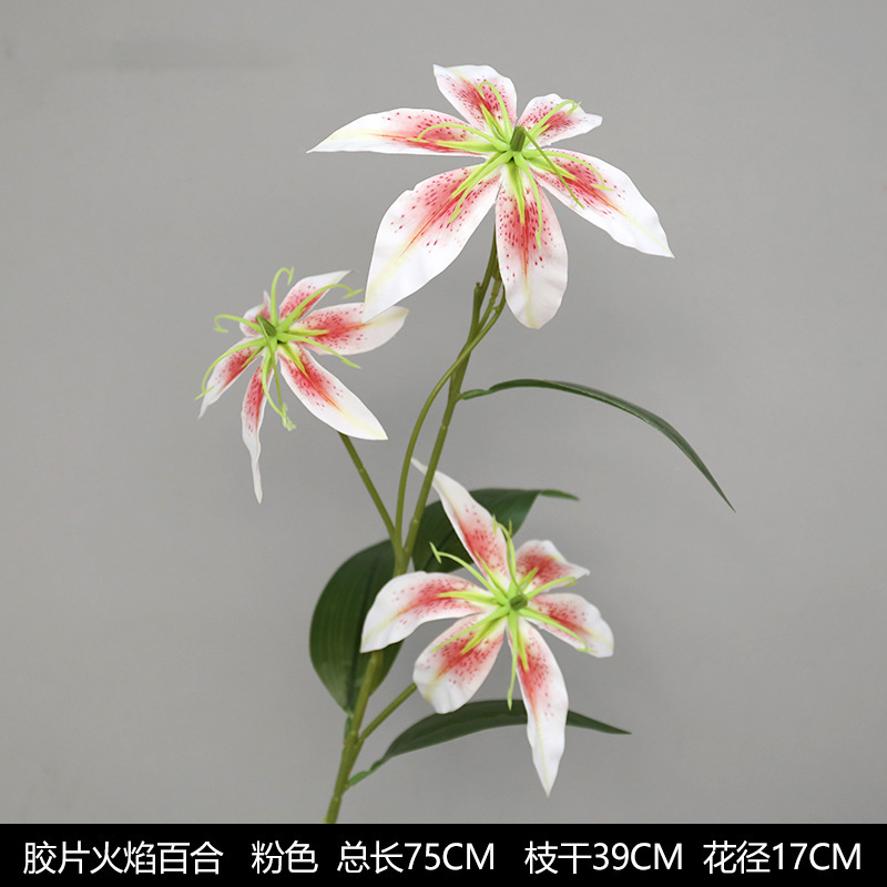 영화 불꽃 백합