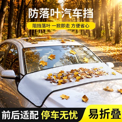 Glass Rain Gutter, Anti-Bird Droppings, Car clothing