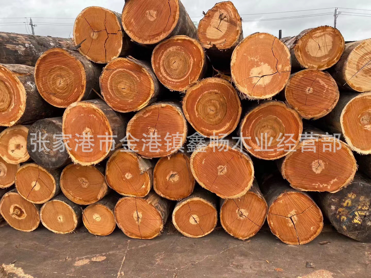 微信图片_20231027182316