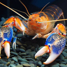 �M���]�^�p�r�����rˮ�嵭ˮ���ͼt������{ħ���rС���r��