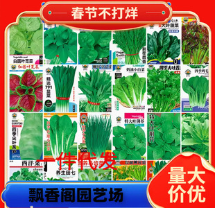 �ļ�С���۷N�Ӵ�ȫ�۲���N���۲˼�������߲˷N���r�ҽz�ϲ�̦