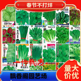 四季小香芹种子大全芹菜苗种籽芹菜季青菜籽蔬菜种孑农家丝瓜菜苔