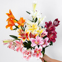 �¿���滨3�^2�ٴ�ٺ� 3D��ӡ�zƬ�ٺϻ� ��Y��ܛ�b�b� ���Q