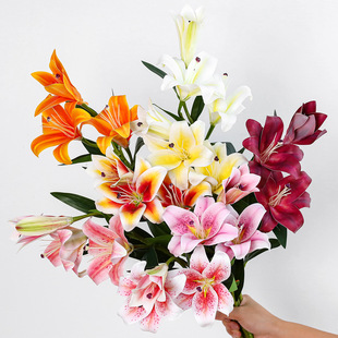 �¿���滨3�^2�ٴ�ٺ� 3D��ӡ�zƬ�ٺϻ� ��Y��ܛ�b�b� ���Q