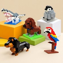 eľƴb΢p߳˹Сﹷʿ