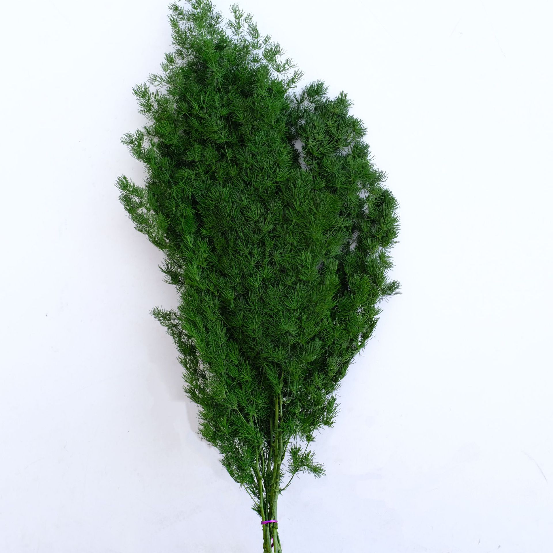 Pine green