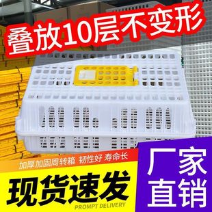 �u�\���D�����ϼ����\ݔ�\�ش�̖���u���Z���ӻ\�Ӽ����û\�Bֳ�\