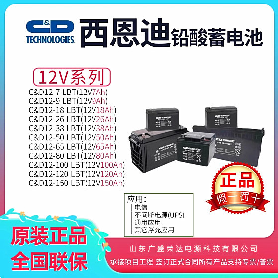 西恩迪大力神蓄电池C&D12V100 24 38 40 65 120AH机房直流屏专用
