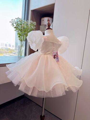 Birthday Princess Dress 2024 New Style Party Puff Skirt for Girls Children's Formal Dress Flower Girl Dress Birthday Suit Spring Season