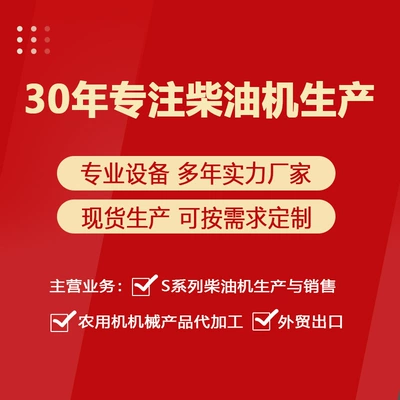 Wuzheng Shifeng Universal Diesel Engine Avtomobil mühərrikləri