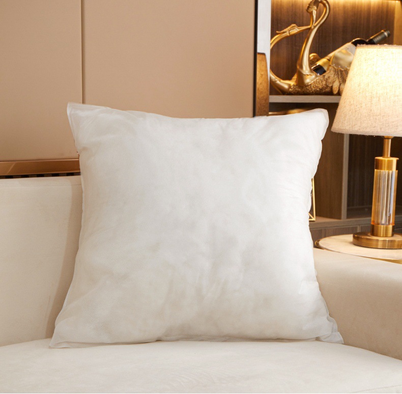 Pillow Insert Image 6