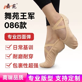 舞蹈鞋;芭蕾舞表演服;舞蹈服