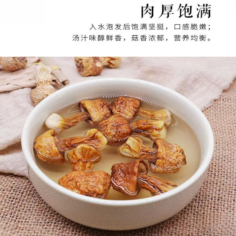 松茸干货500g云南无熏硫食用野生菌菇巴西蘑菇包邮特产煲汤|undefined