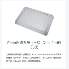 ؐ�����젖�� Echo�|�Vϵ�y��MS��Qualified΢�װ�����Ԅӻ�ϵ�y