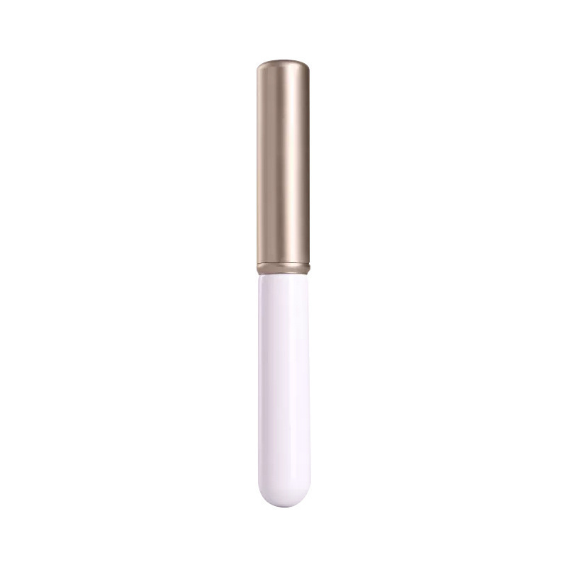 Cepillo de labios con cubierta Cepillo de brillo de tinción Cepillo de lápiz labial Cepillo de cabeza redonda Cepillo de concelador portátil mini cepillo de maquillaje Herramientas de maquillaje al por mayor