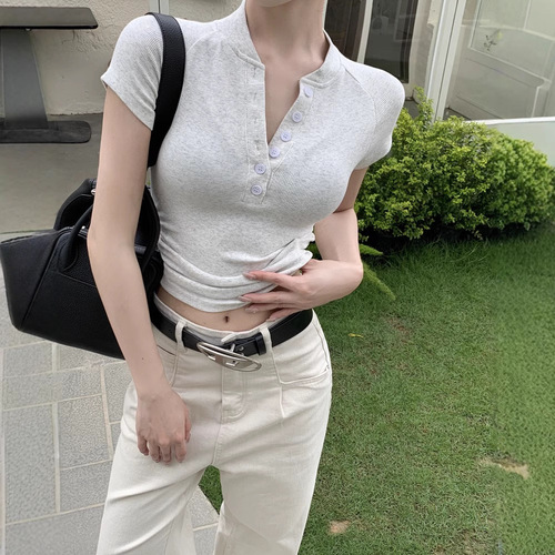 New 2025 Summer American Button-Down Short-Sleeve T-Shirt for Women, Fitted Wrinkle-Free Short Top, Casual Trendy Basic Shirt
