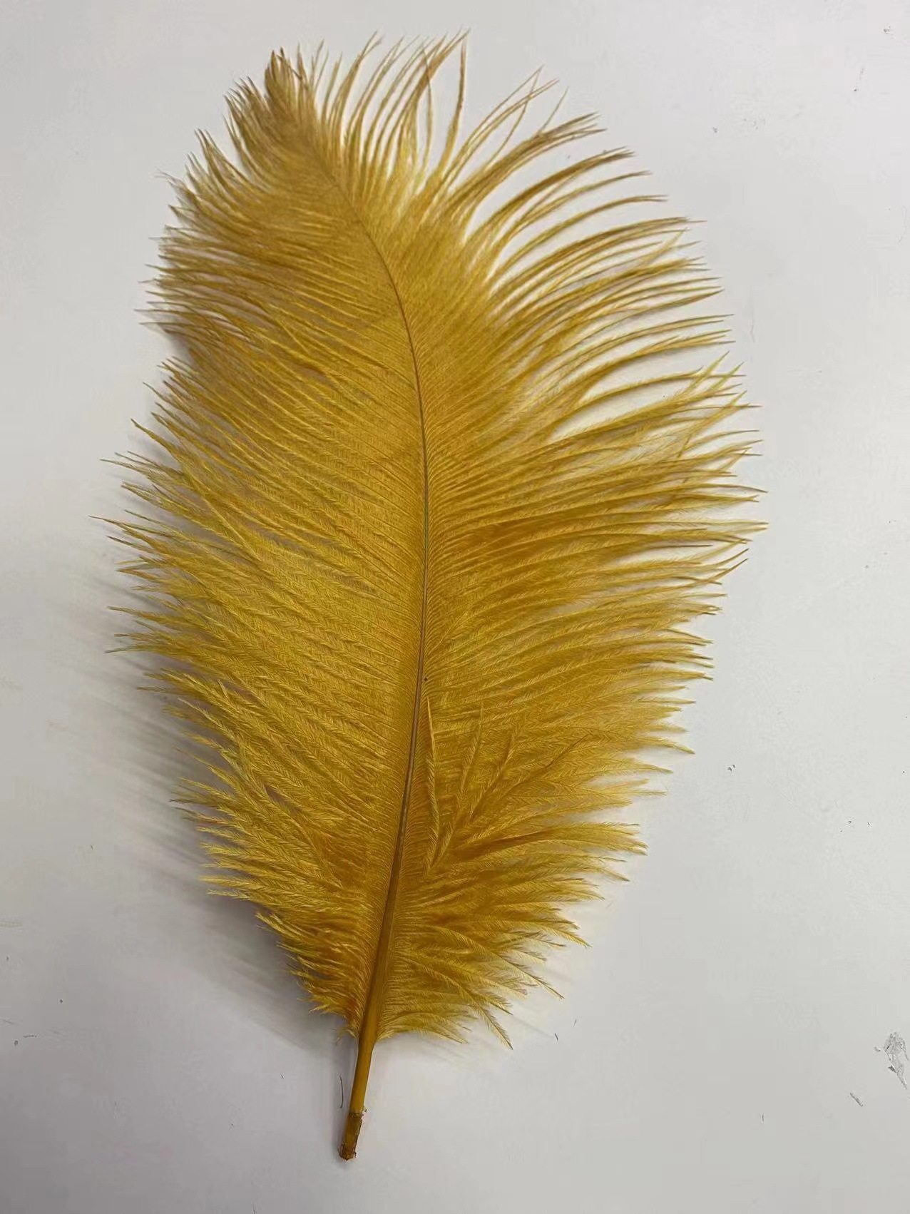 微信图片_20221127230123