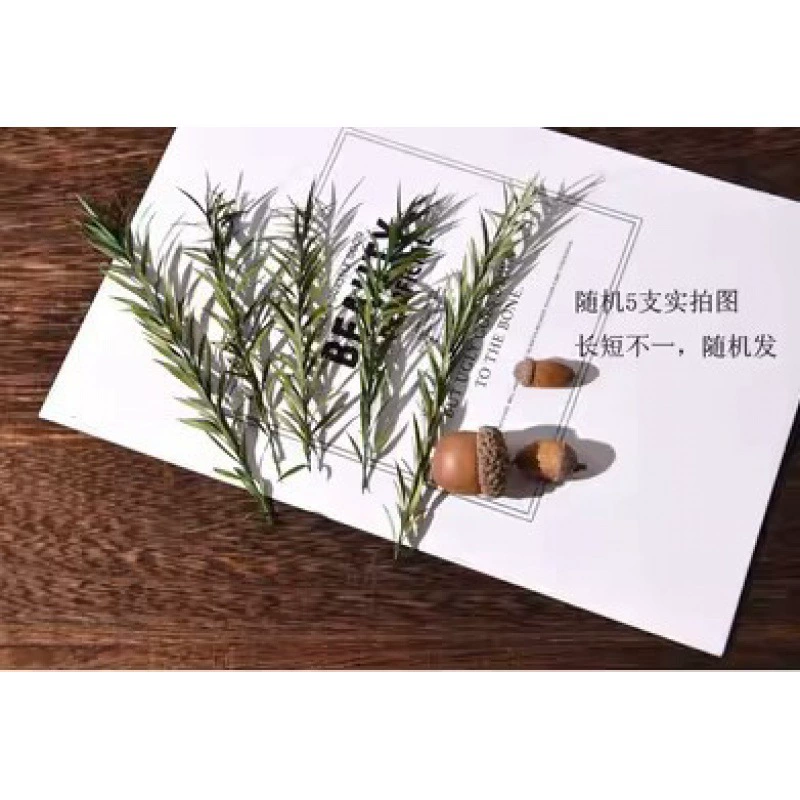 Organic sample, photo frame handmade, Christmas materials set, DIY