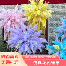 仿真花孔雀草多彩渐变凤尾芦苇草仿真烟花批发手工制作装饰摆件